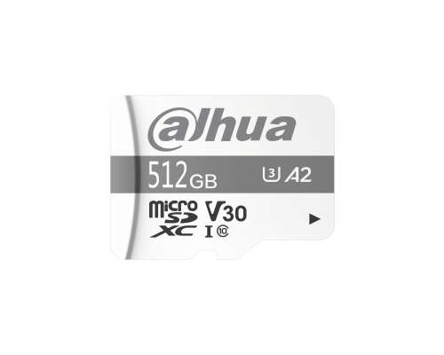 DHI-TF-P100/512G